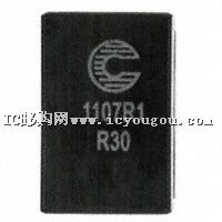 FP1107R1-R30-R�DƬ