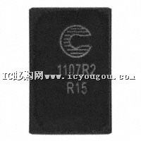 FP1107R2-R15-R�DƬ