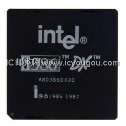 A80386DX20DƬ