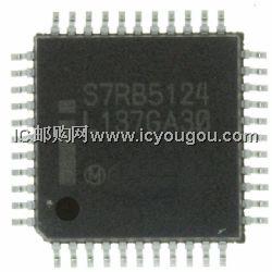 S87C51RB24DƬ