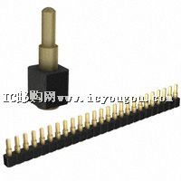 812-22-025-30-003101DƬ