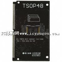 TSOP48DƬ