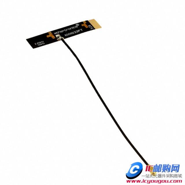 1001932FT-AA10L0100DƬ