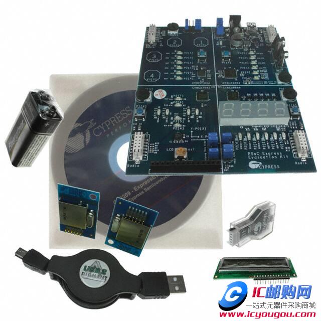 CY3209-EXPRESSEVKDƬ