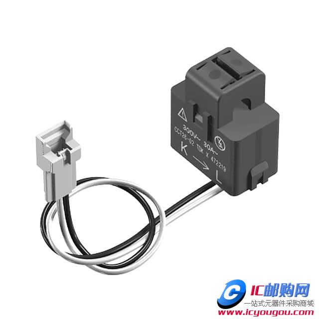 CCT261631-30-06-02DƬ