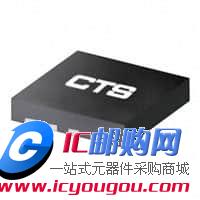 CTSLV310QGDƬ