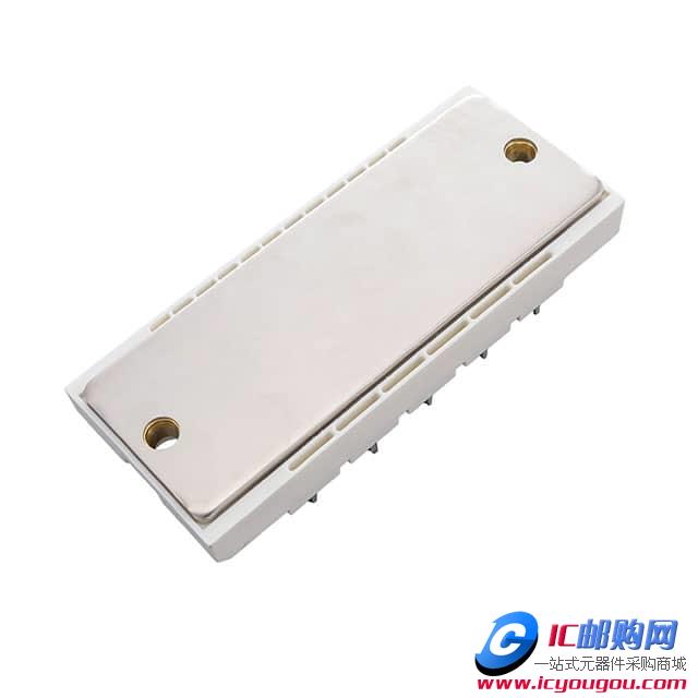 DDB6U100N16RRBPSA1DƬ