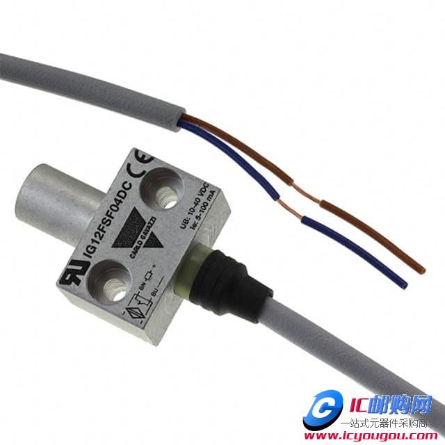 IG12FSF04DCDƬ