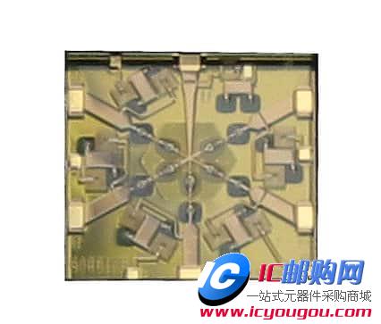 c(din)鿴MASW-005102-13600WDƬ