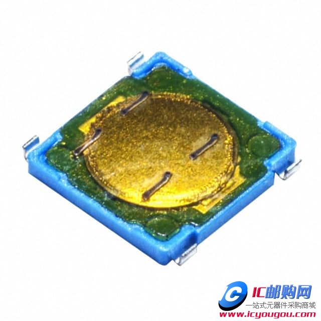 PTS530 JG065 SMTR LFSDƬ