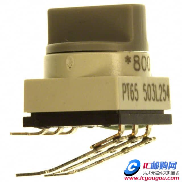 c鿴PT65503L254DƬ