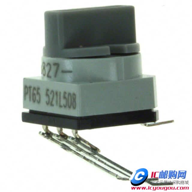 PT65521L508DƬ