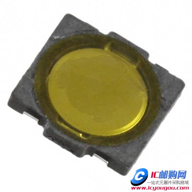 RS-197N05A1-DS RTDƬ