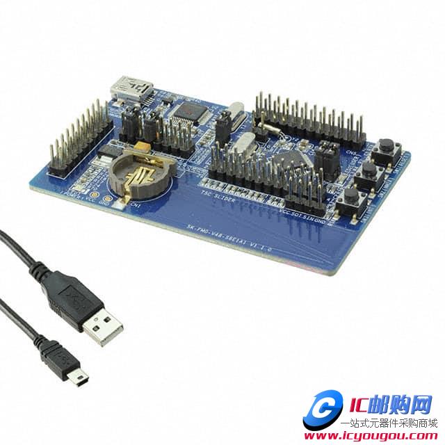 SK-FM0-V48-S6E1A1DƬ